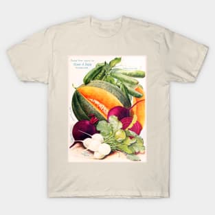 Henry Dreer Seed Catalogue, circa 1900s T-Shirt